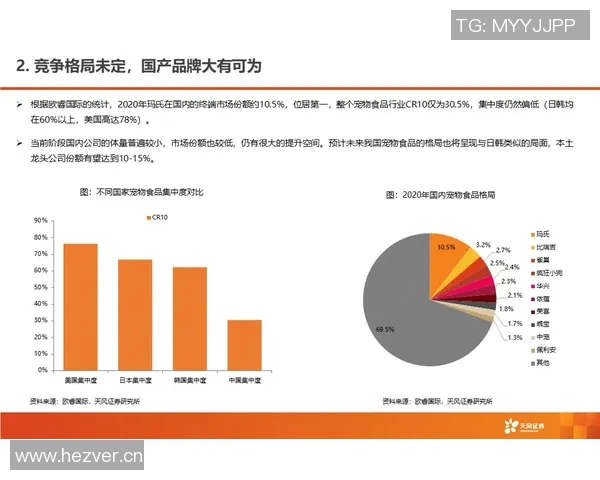 JDG快攻策略的成败分析与未来发展方向探讨